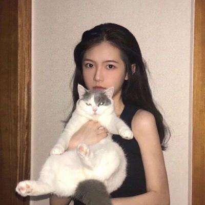 拇指游戏正统三国下载